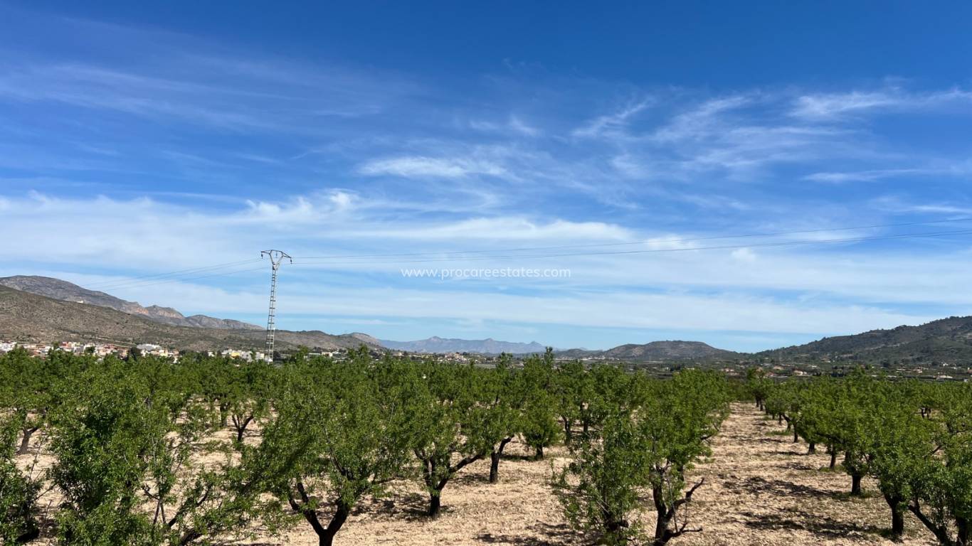 Revente - Terrain - Hondon De Los Frailes