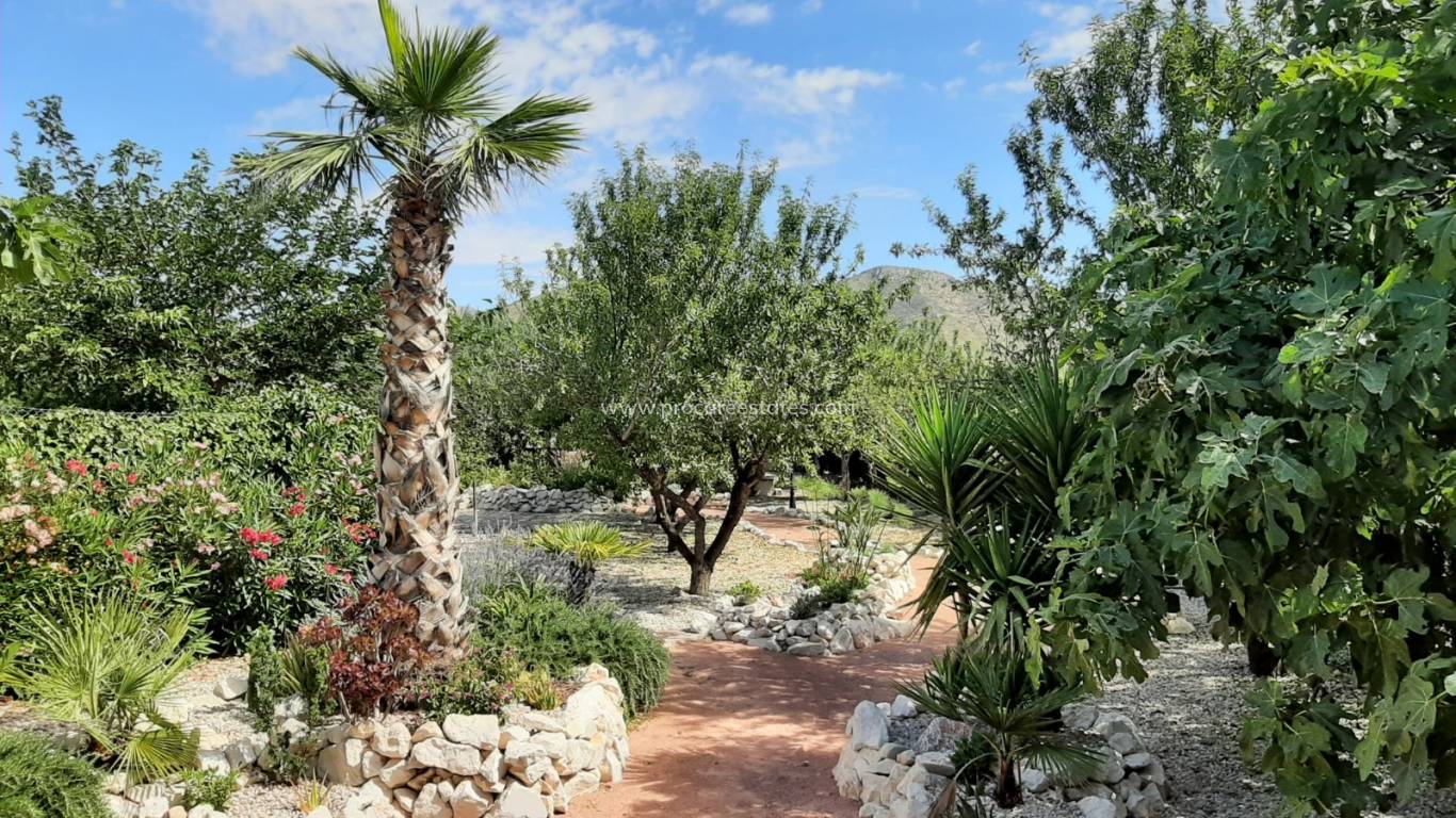 Revente - Villa - Barbarroja
