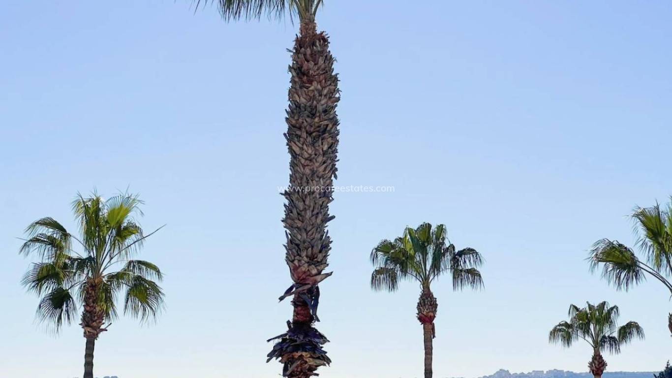 Revente - Villa - Ciudad Quesada - Doña Pepa
