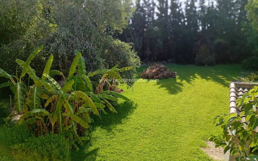 Revente - Villa - Daya Nueva