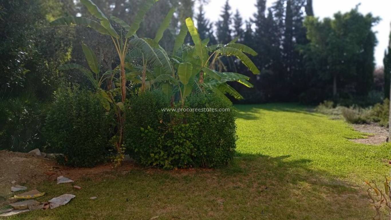 Revente - Villa - Daya Nueva