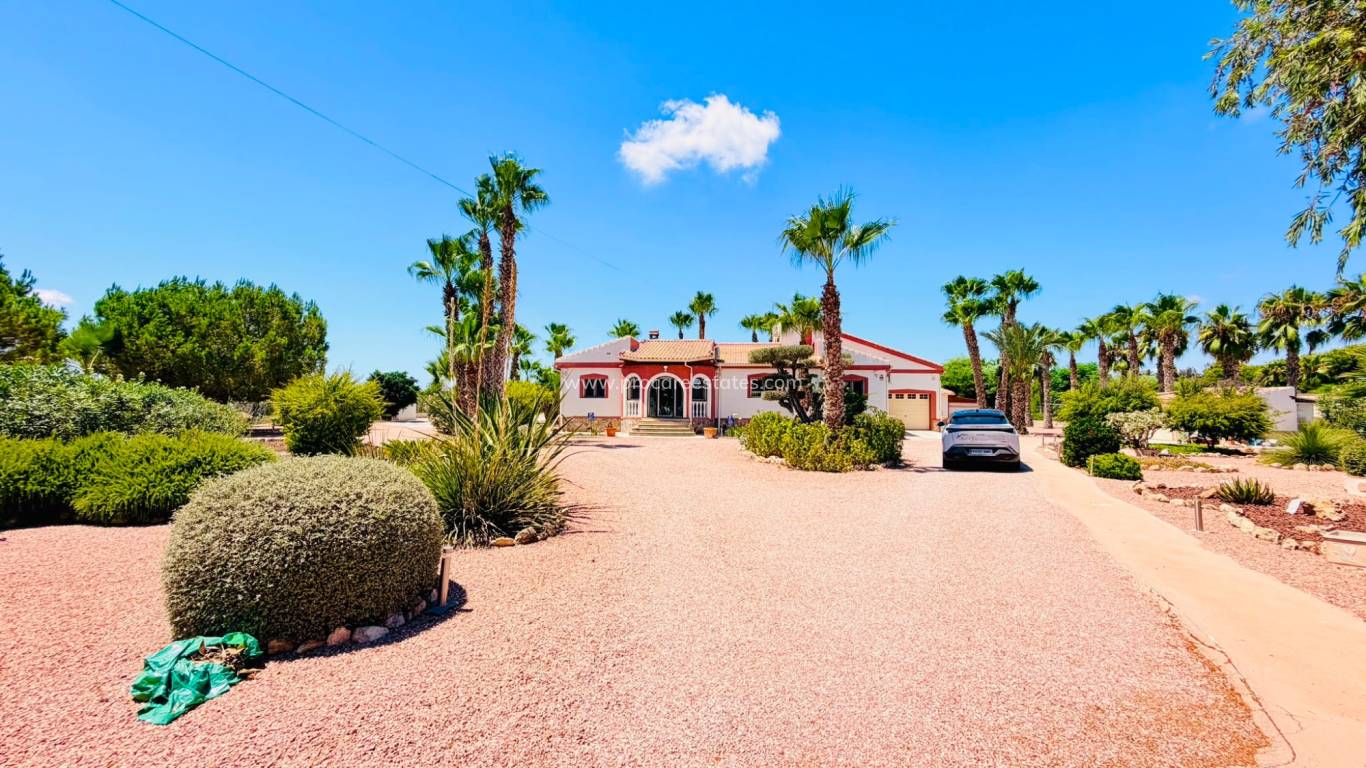 Revente - Villa - Daya Vieja
