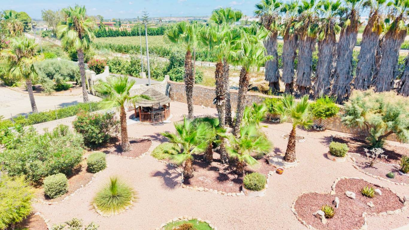 Revente - Villa - Daya Vieja
