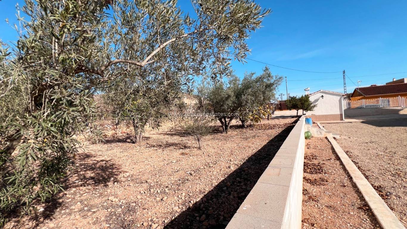 Revente - Villa - Hondon De Los Frailes