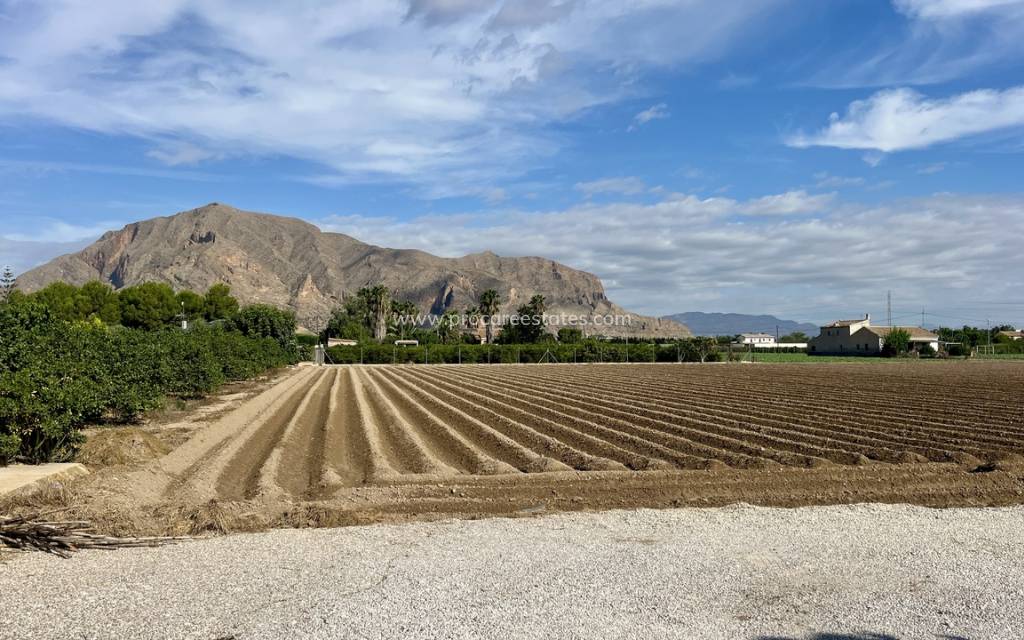 Revente - Villa - Orihuela