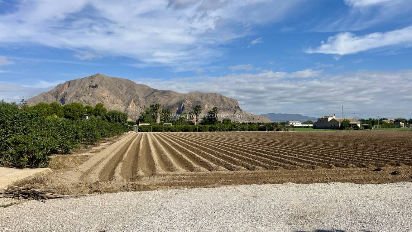 Revente - Villa - Orihuela