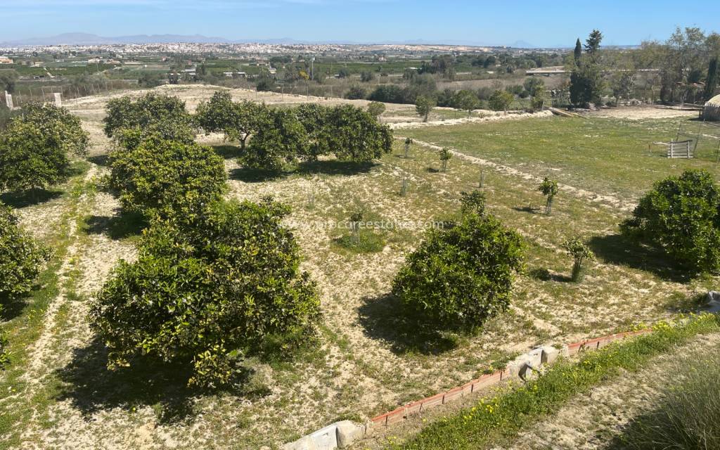 Revente - Villa - Rojales