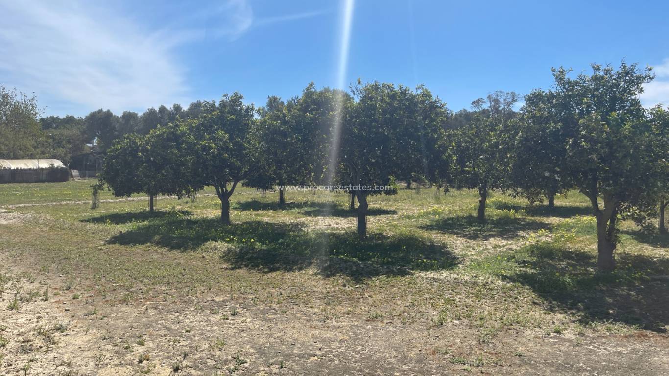 Revente - Villa - Rojales