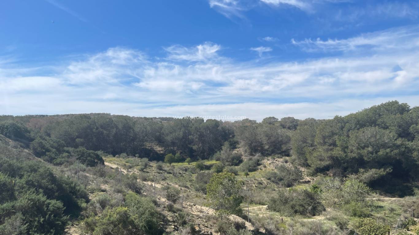 Revente - Villa - Rojales