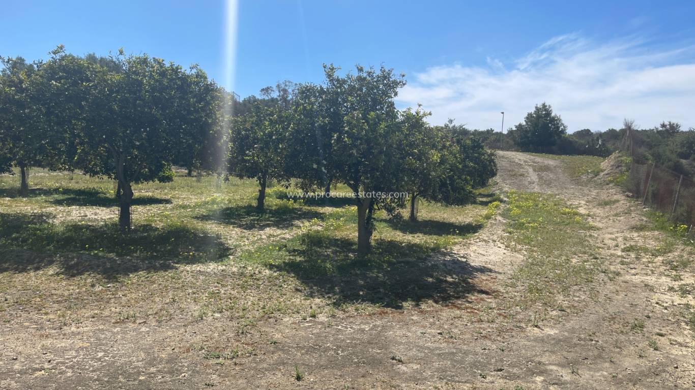 Revente - Villa - Rojales