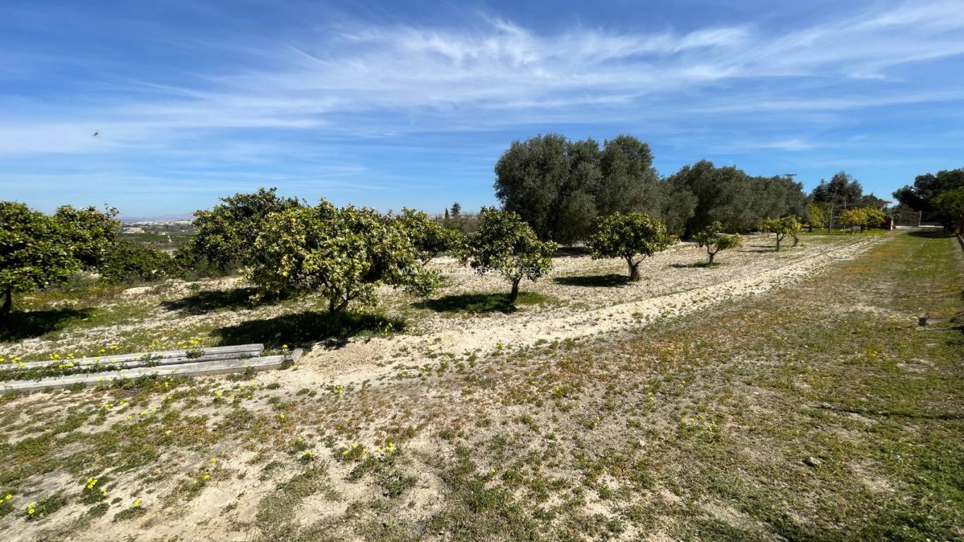 Revente - Villa - Rojales