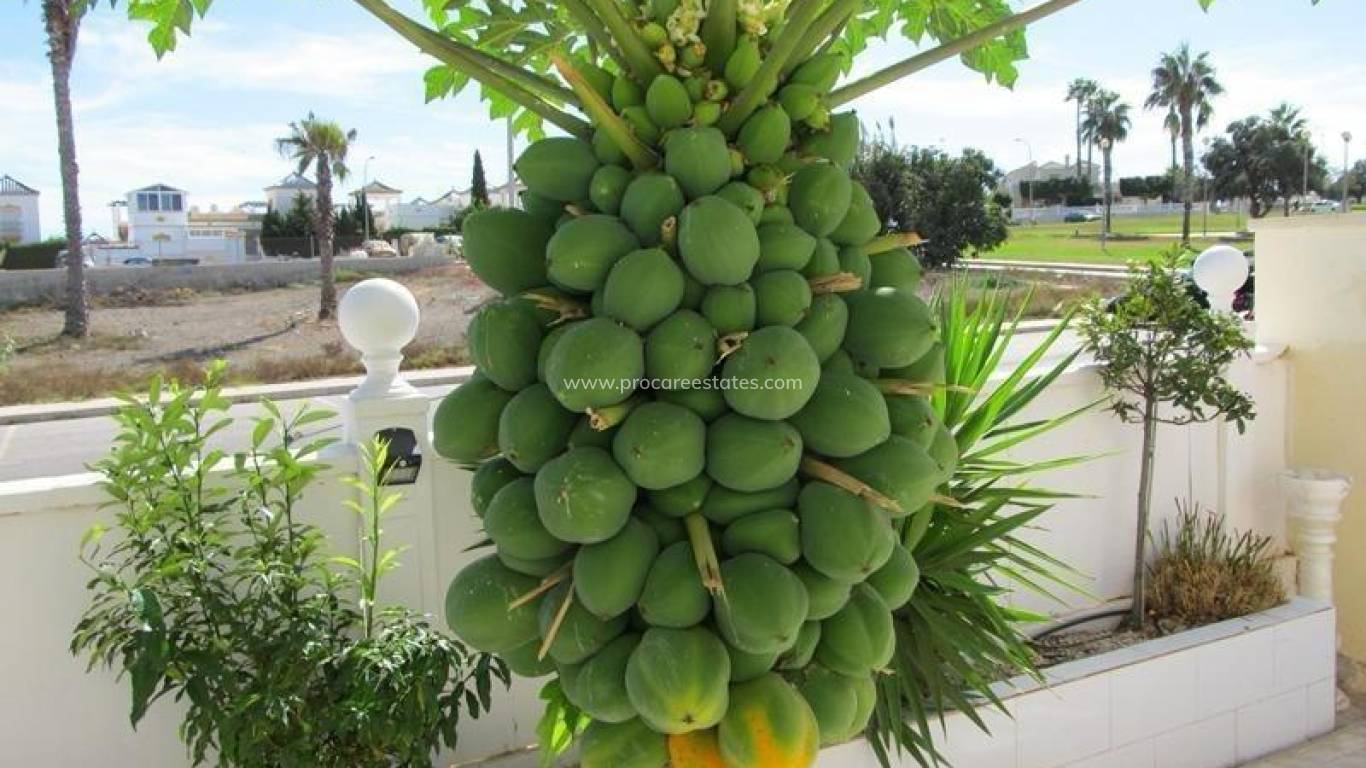 Revente - Villa - Torrevieja - Aguas Nuevas