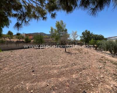 Terrain - Revente - Algueña - Algueña