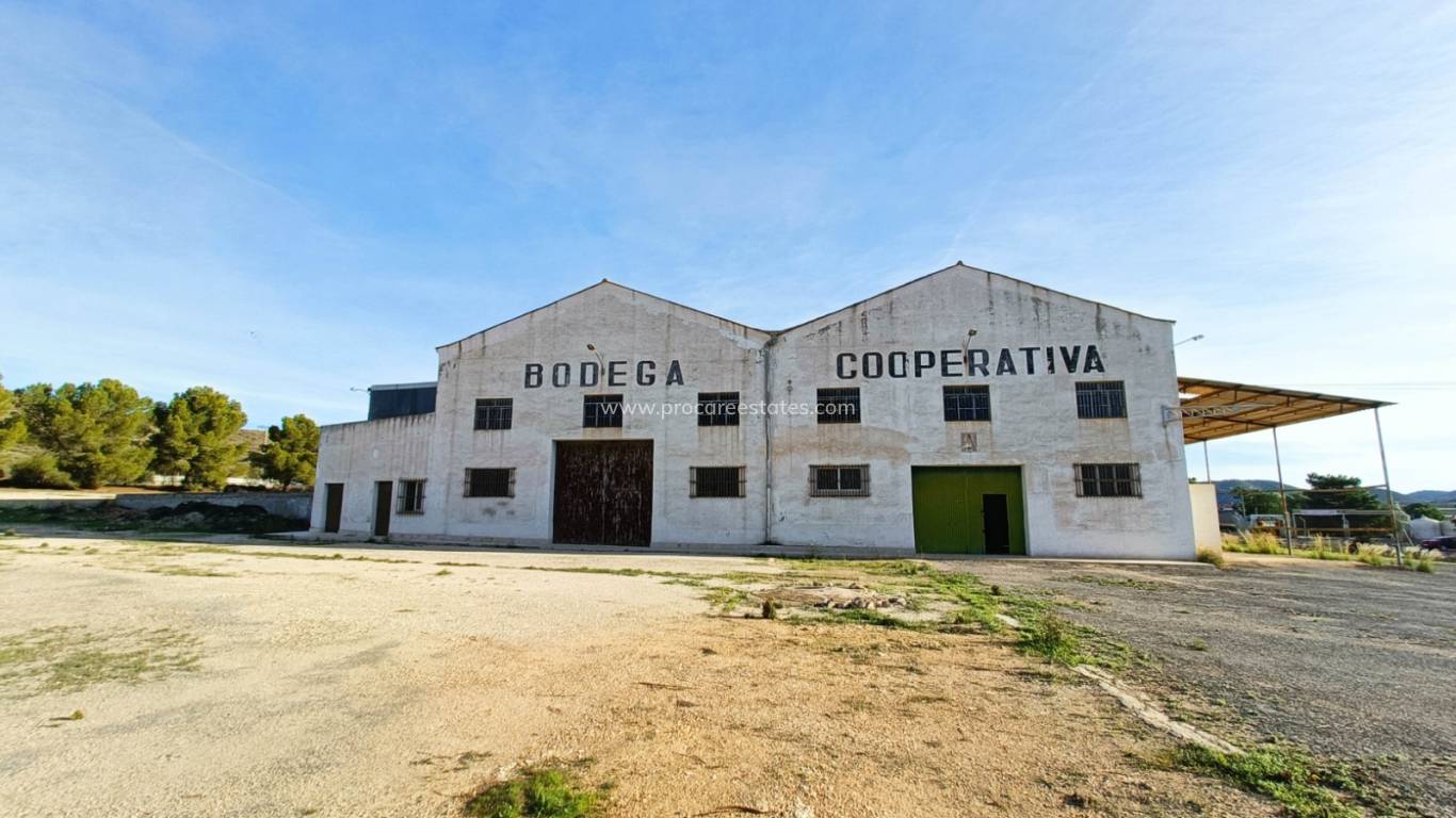 Verkauf - Gewerbeimmobilien - Hondon De Los Frailes
