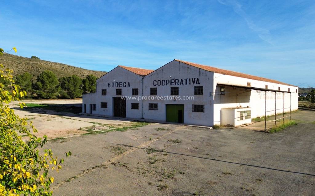 Verkauf - Gewerbeimmobilien - Hondon De Los Frailes