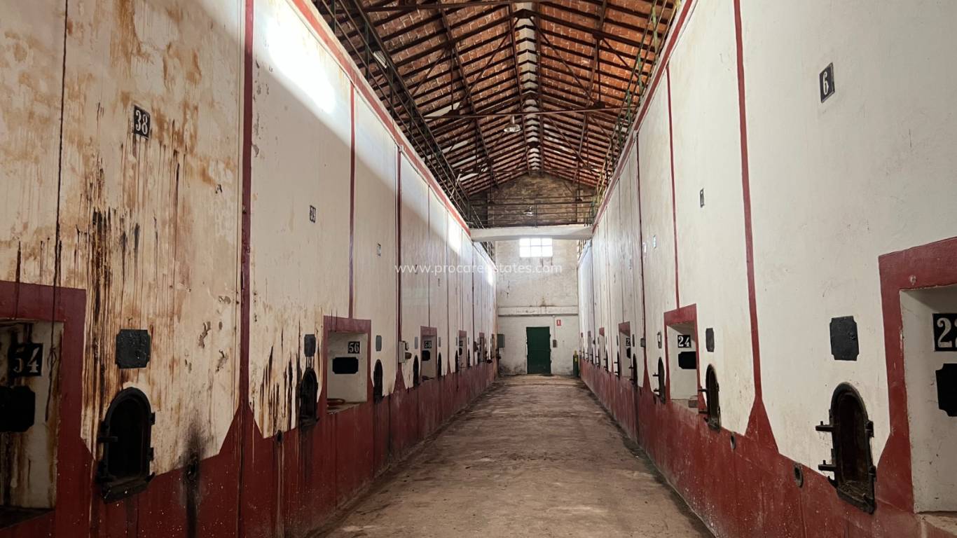 Verkauf - Gewerbeimmobilien - Hondon De Los Frailes