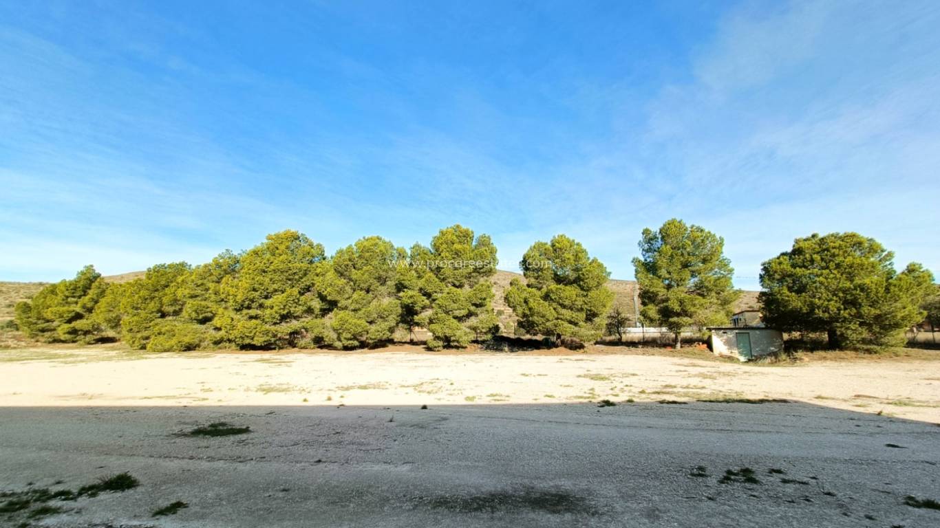 Verkauf - Gewerbeimmobilien - Hondon De Los Frailes