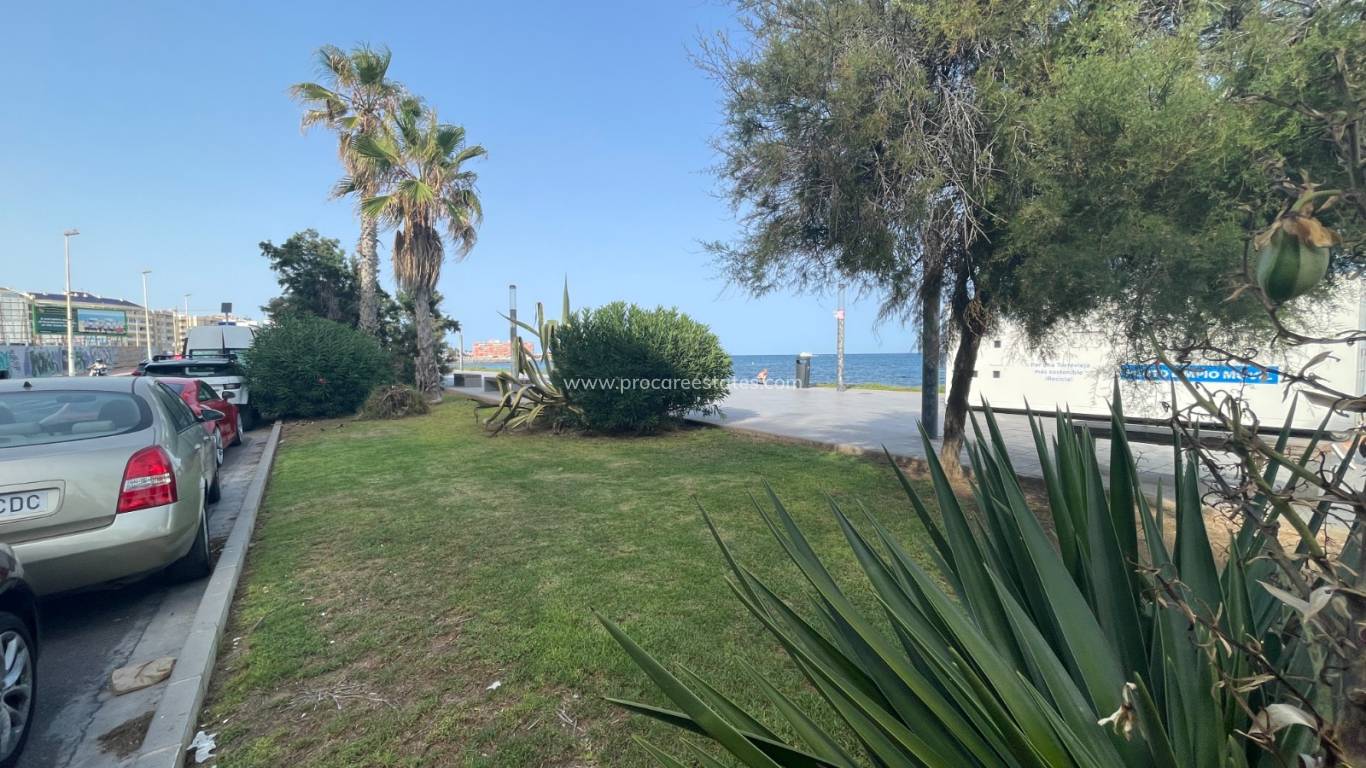 Verkauf - Gewerbeimmobilien - Torrevieja - Comunidad Valenciana