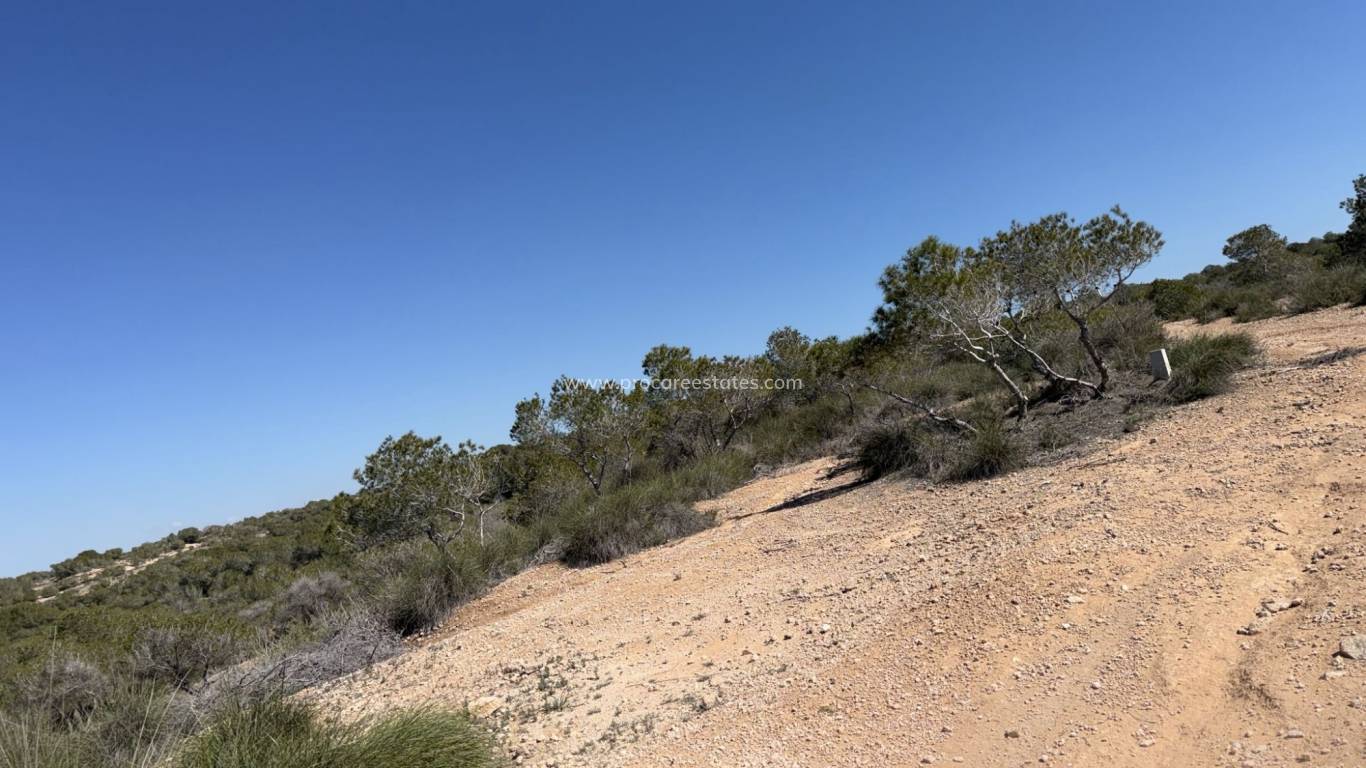 Verkauf - Land and Plots - San Fulgencio - La Marina