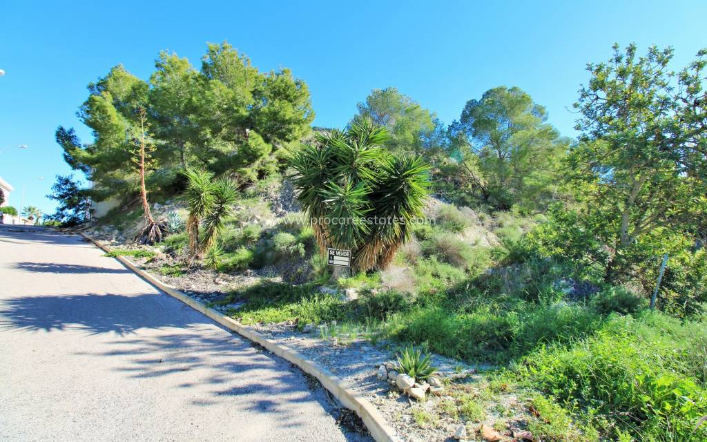 Verkauf - Land - San Miguel de Salinas