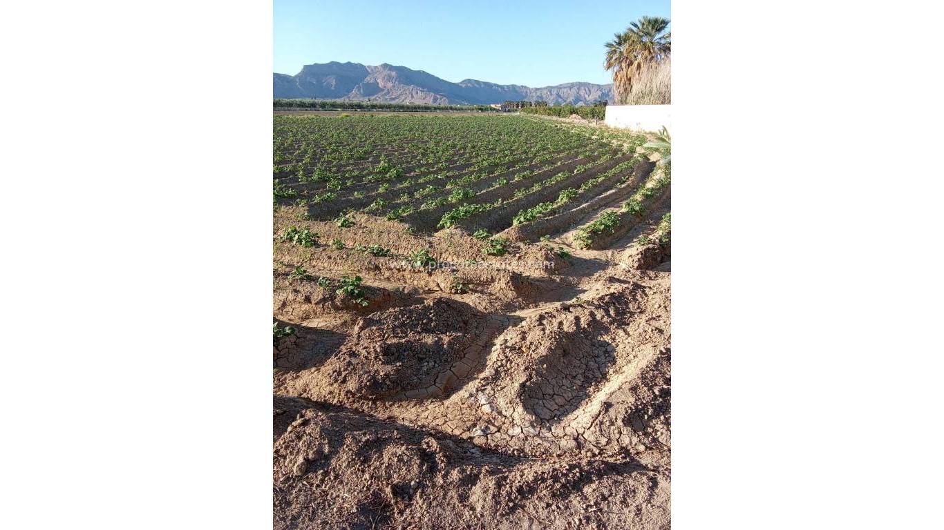 Verkauf - Landhaus - Orihuela - Correntías Bajas