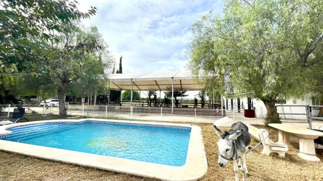 Verkauf - Landhaus - Orihuela