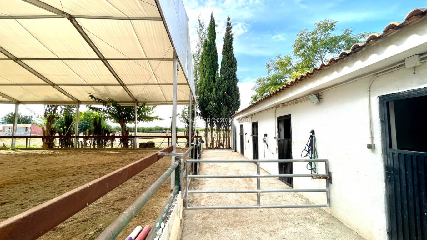 Verkauf - Landhaus - Orihuela