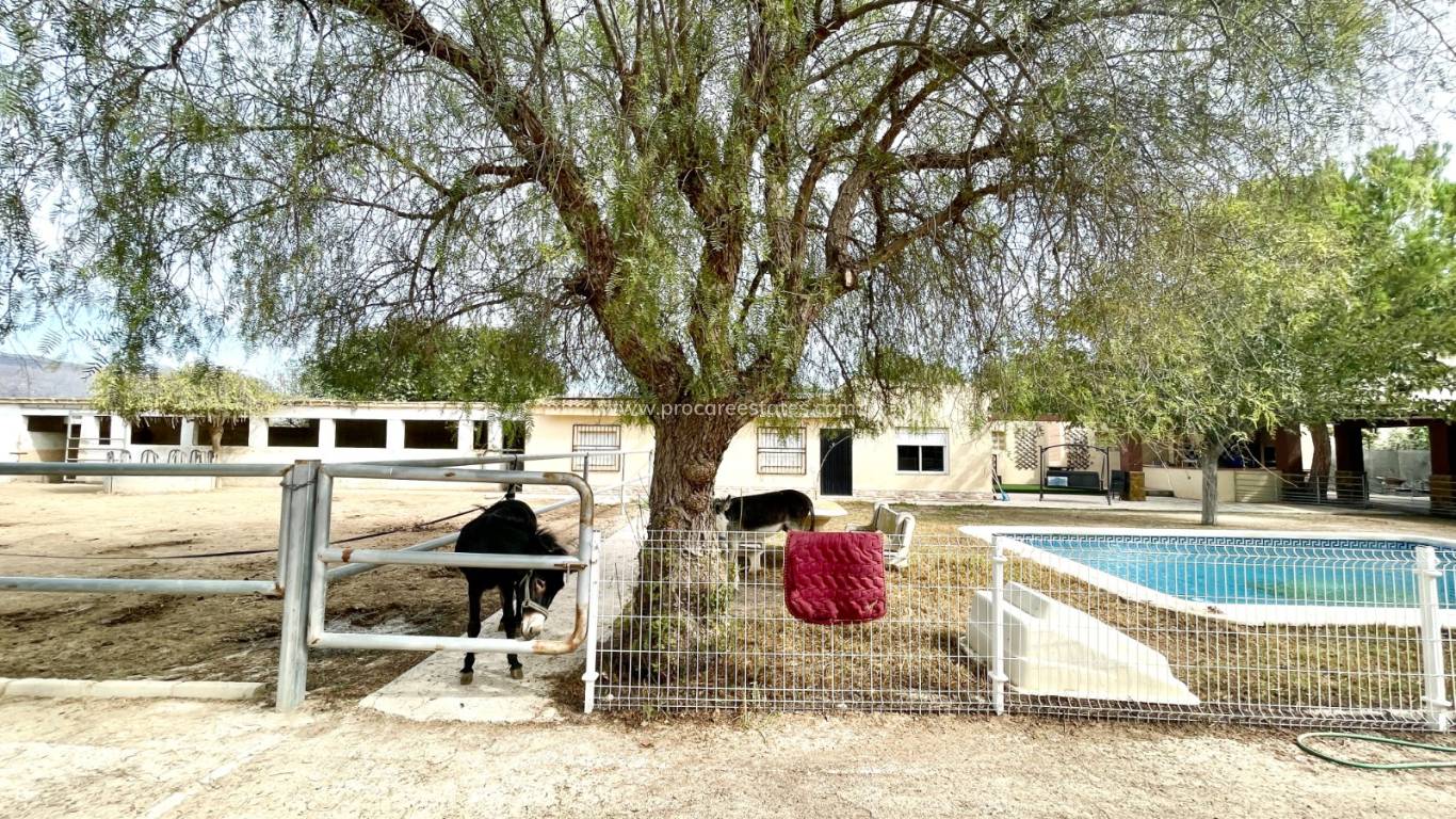 Verkauf - Landhaus - Orihuela