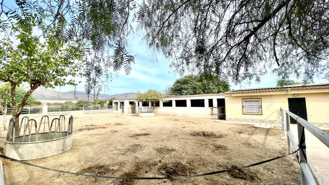 Verkauf - Landhaus - Orihuela
