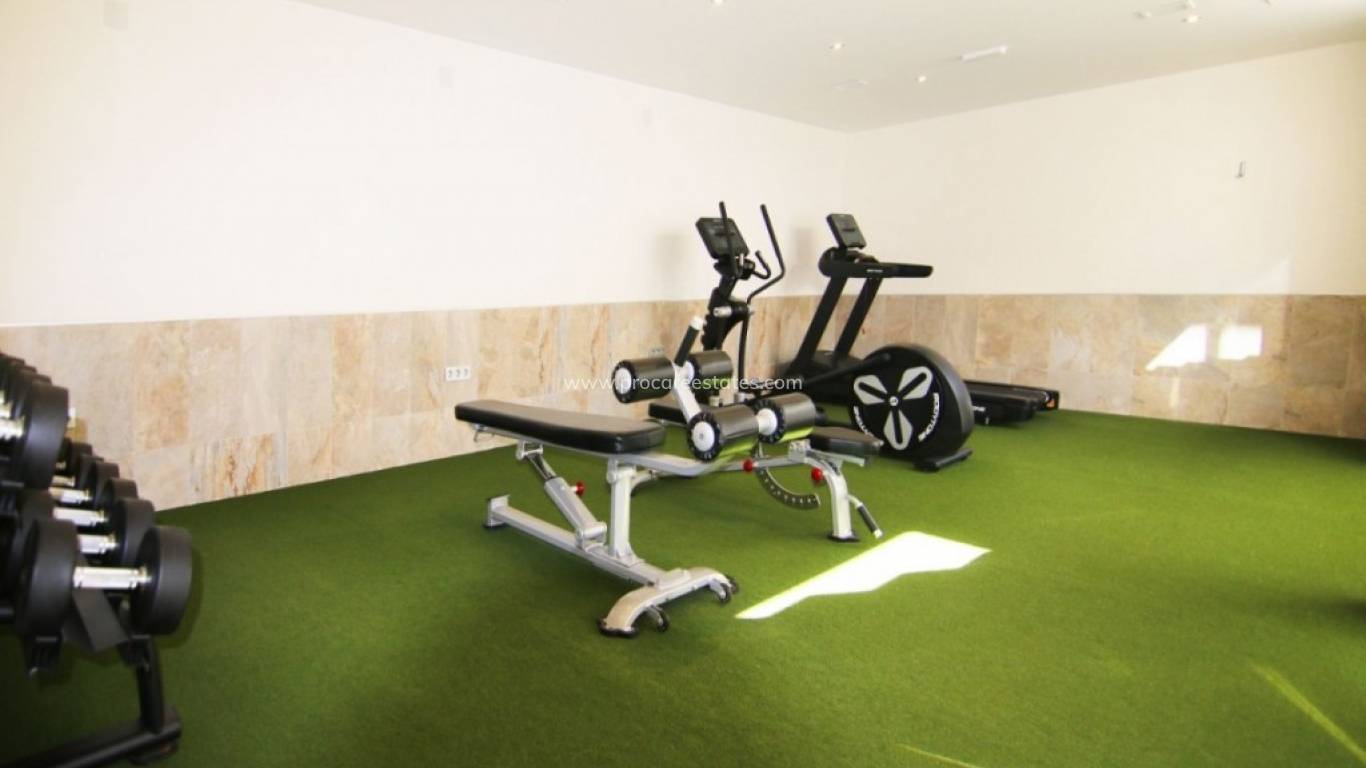 Verkauf - Penthouse - Guardamar del Segura - El Raso