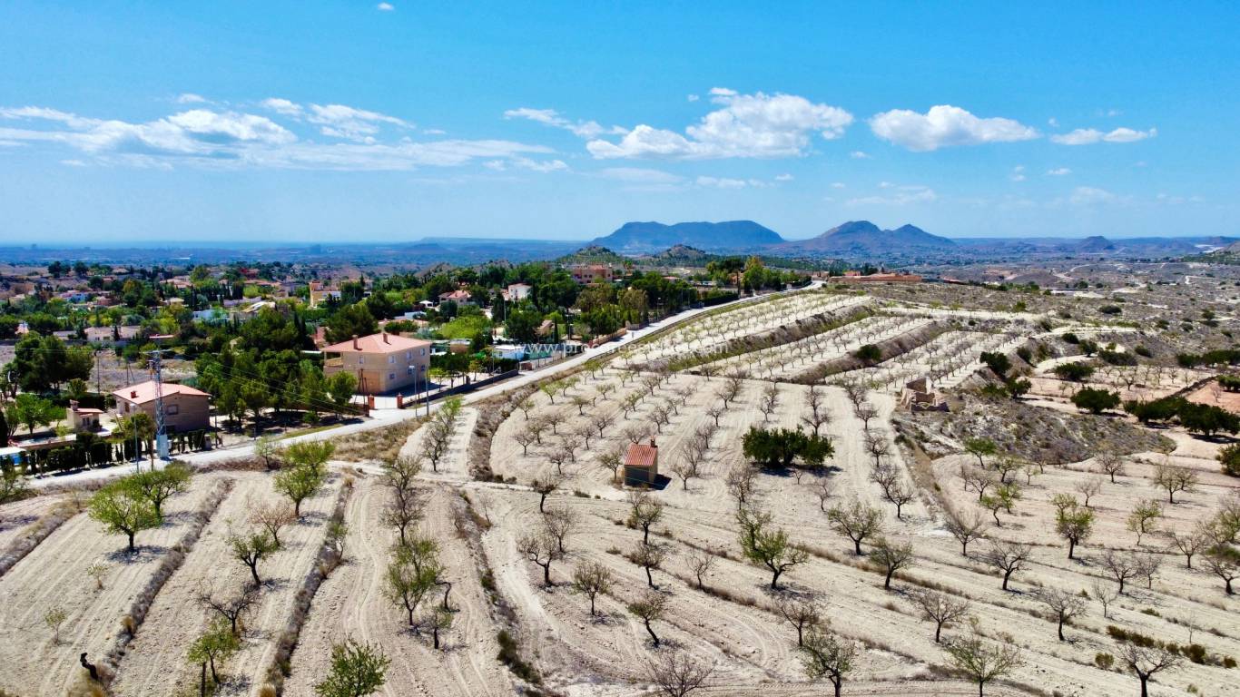 Verkauf - Villa - Alicante - San Vicente del Raspeig