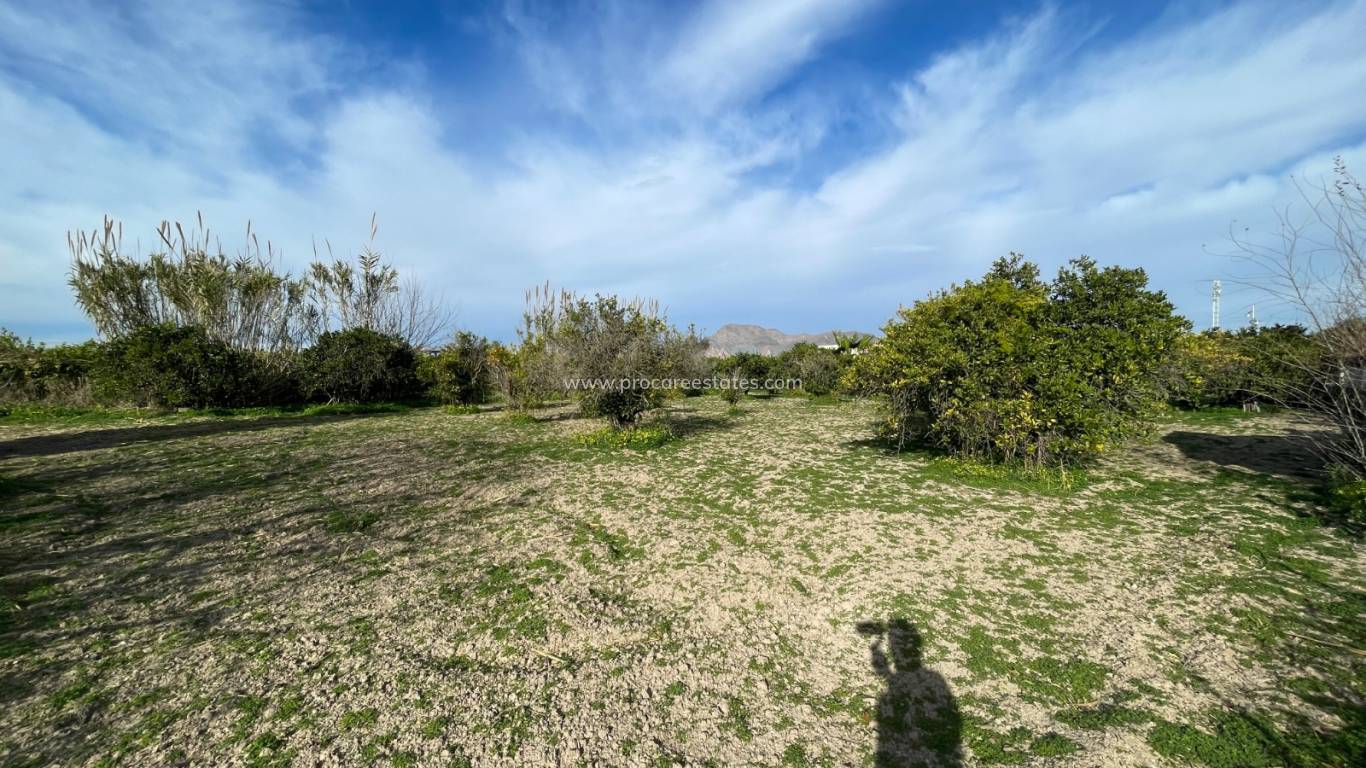 Verkauf - Villa - Benejuzar - Comunidad Valenciana