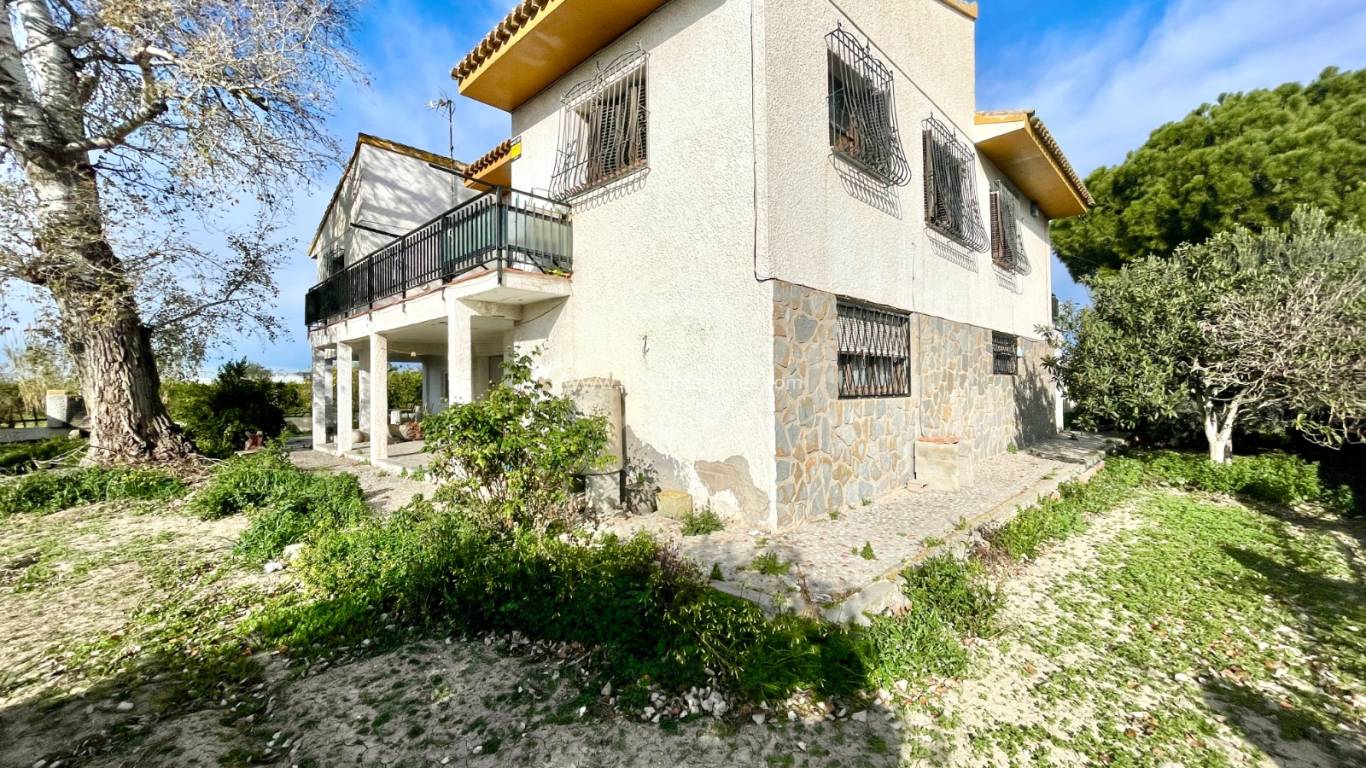 Verkauf - Villa - Benejuzar - Comunidad Valenciana