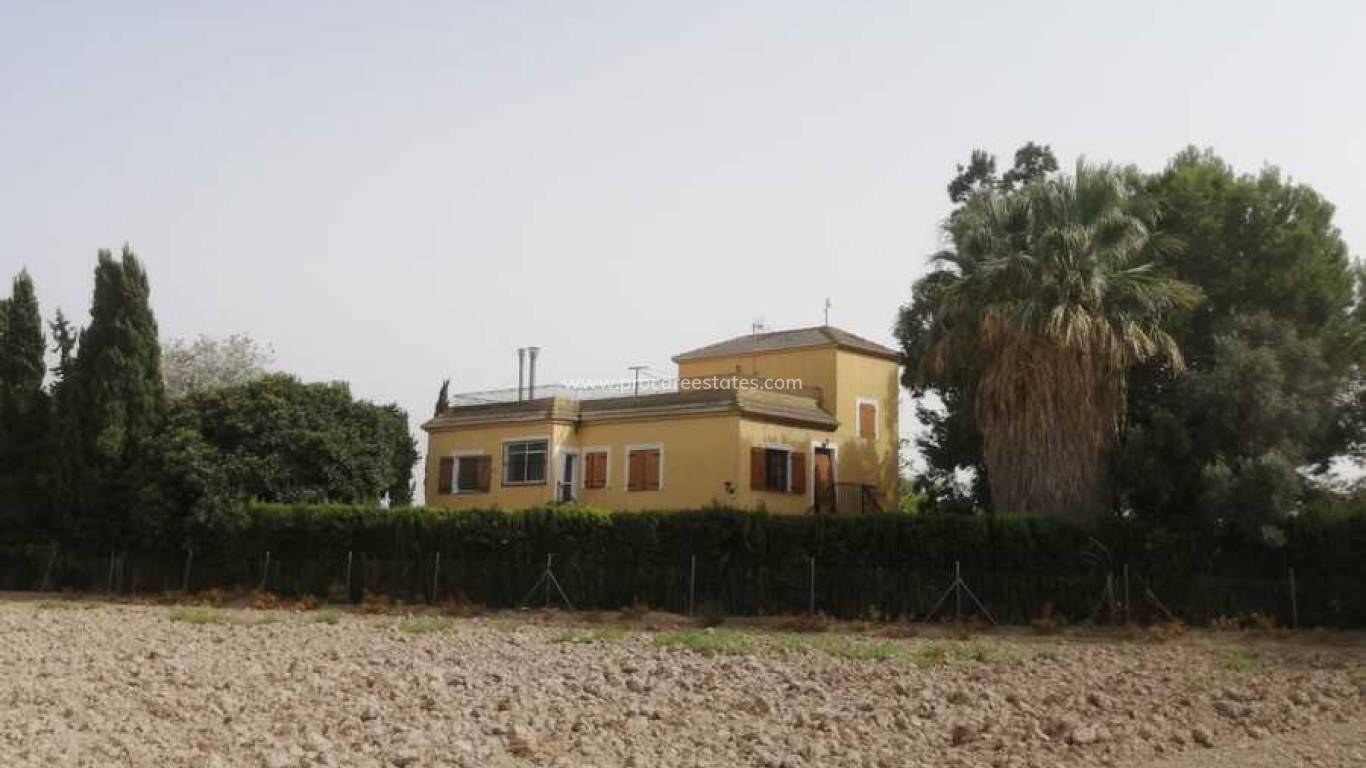 Verkauf - Villa - Daya Nueva