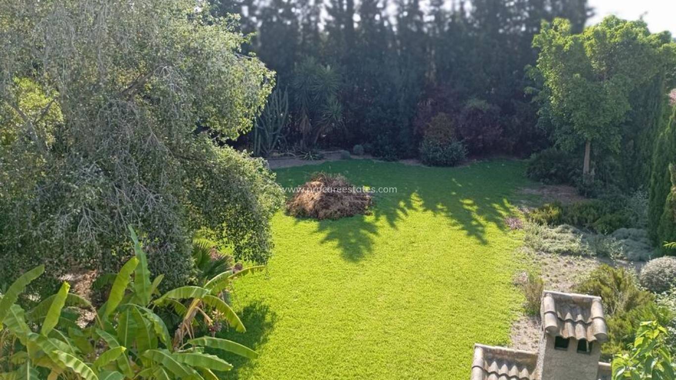 Verkauf - Villa - Daya Nueva