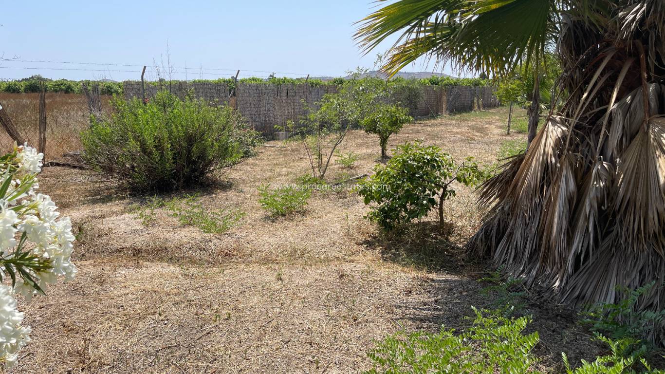 Verkauf - Villa - Daya Nueva