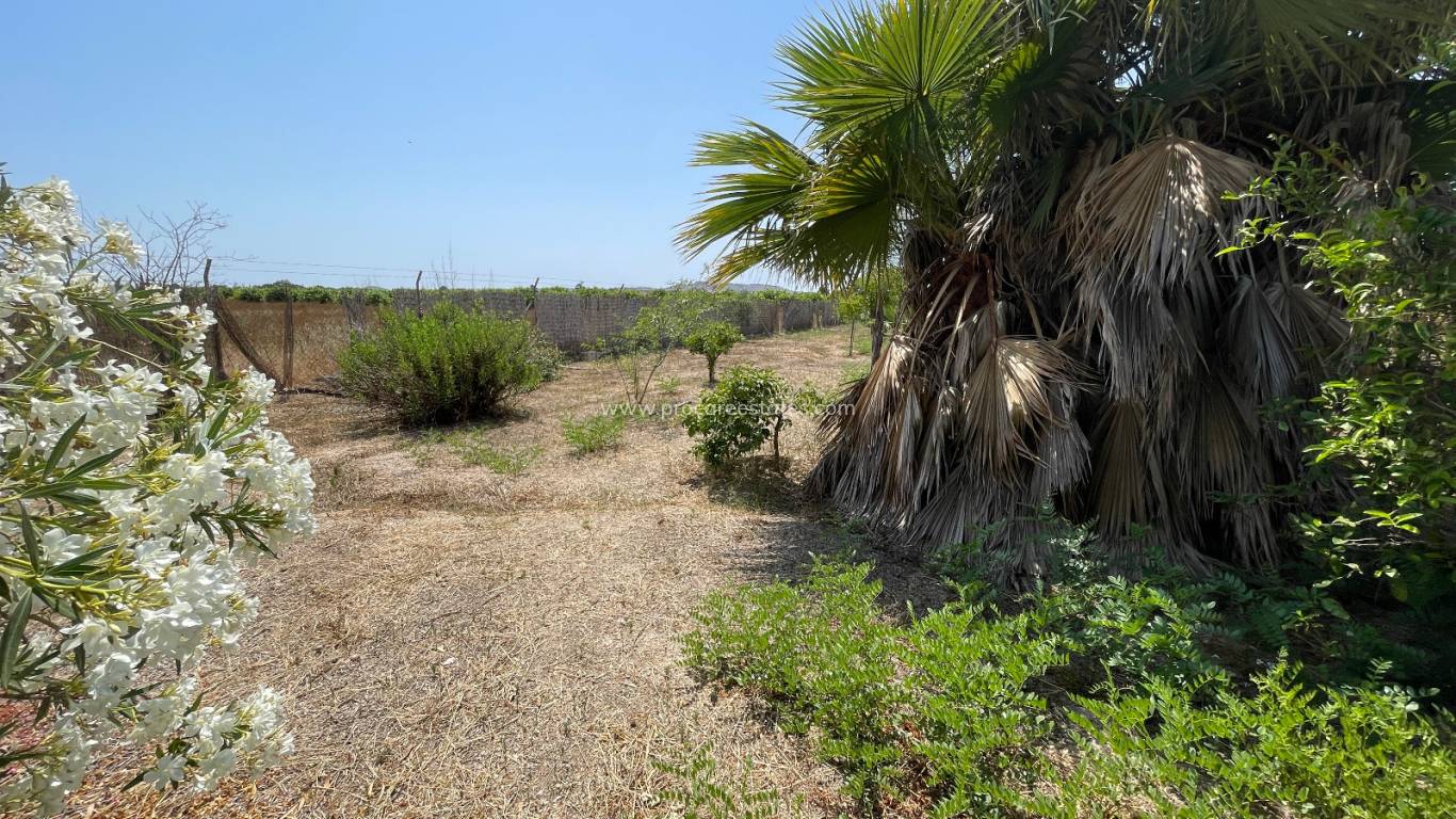 Verkauf - Villa - Daya Nueva