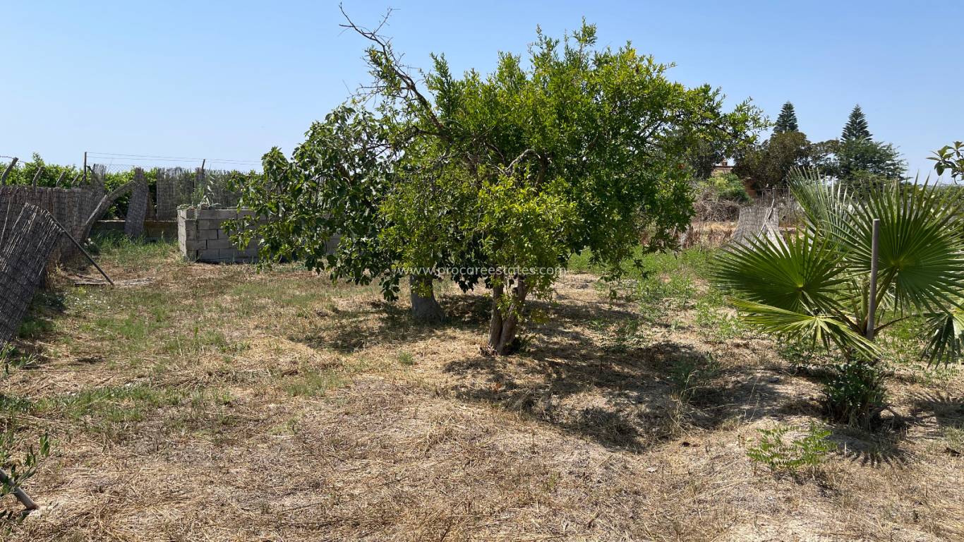 Verkauf - Villa - Daya Nueva