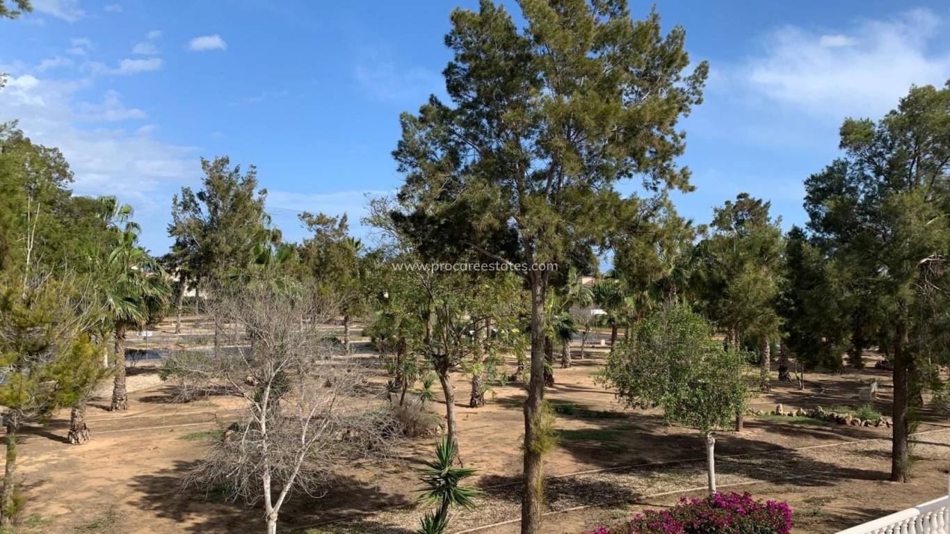 Verkauf - Villa - Guardamar del Segura - El Raso