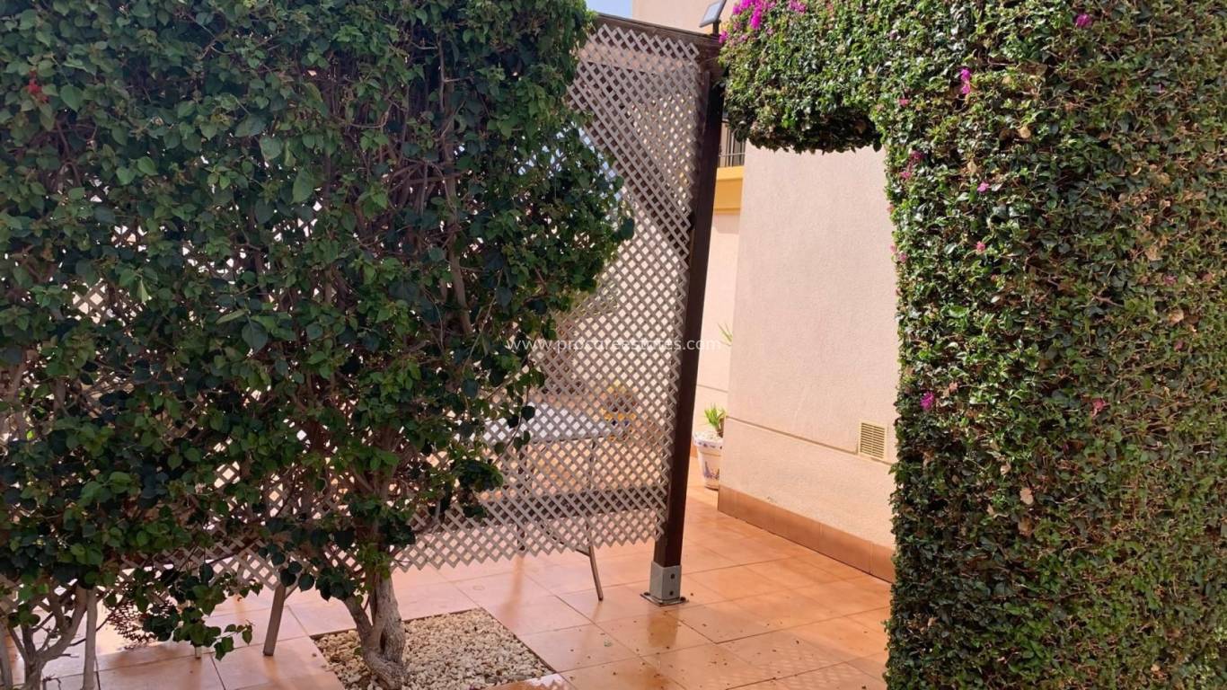 Verkauf - Villa - Guardamar del Segura - El Raso