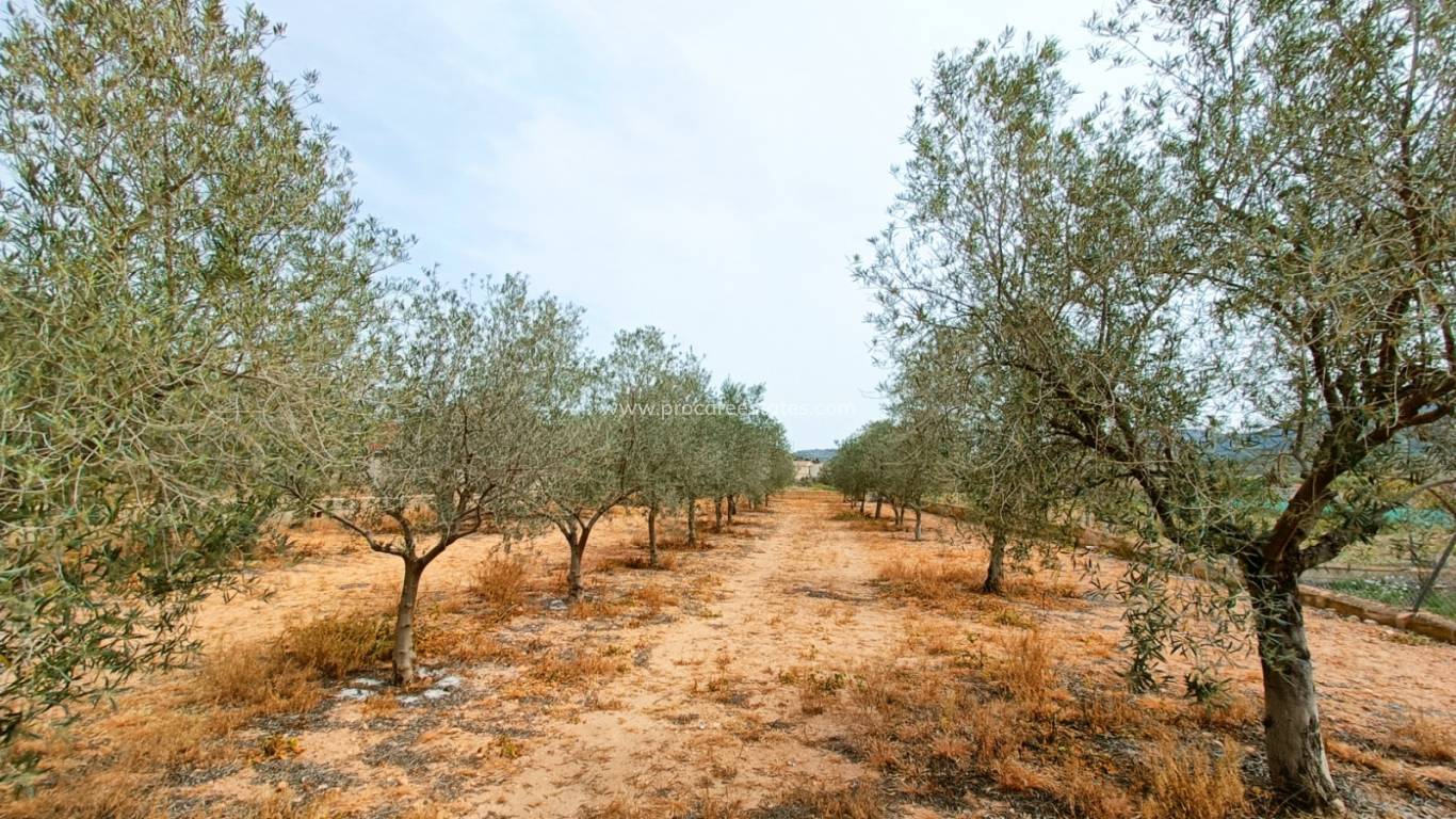 Verkauf - Villa - Hondon De Los Frailes