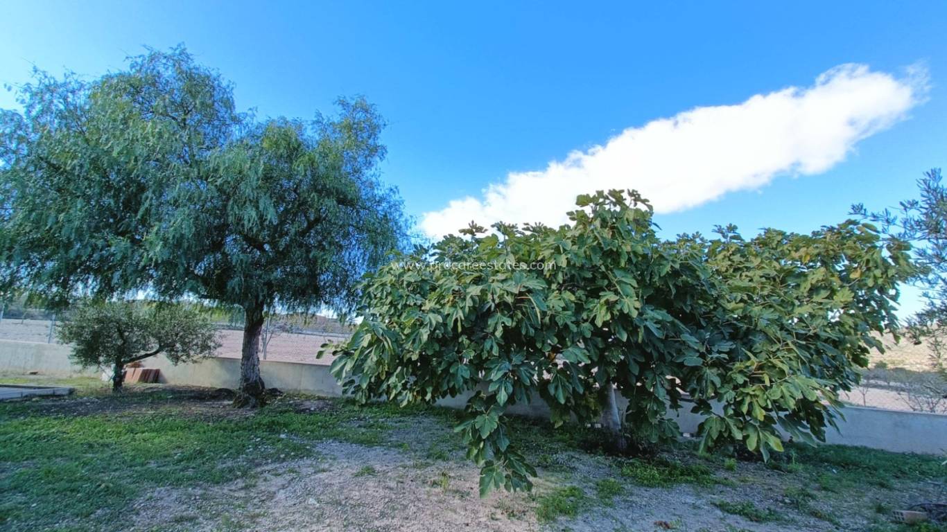 Verkauf - Villa - Hondon De Los Frailes