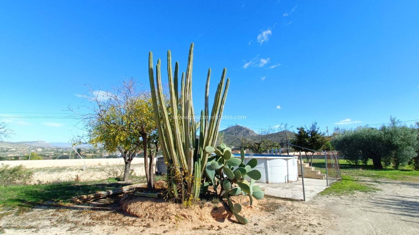 Verkauf - Villa - Hondon De Los Frailes