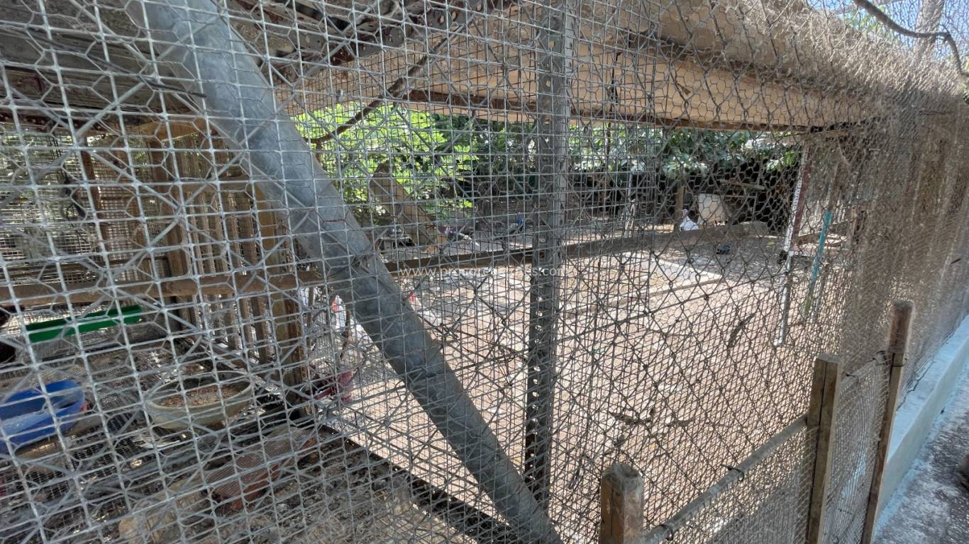 Verkauf - Villa - San Fulgencio - La Marina