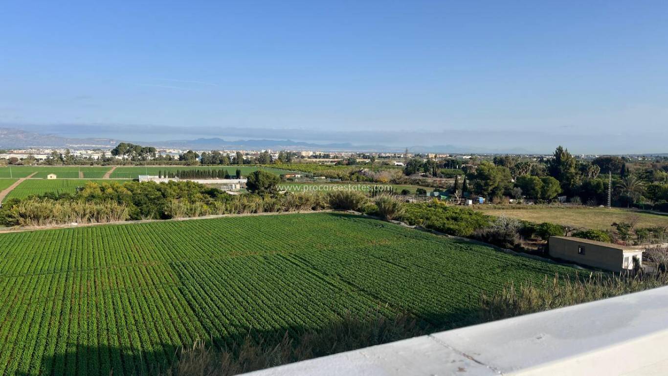 Verkauf - Wohnung - Algorfa