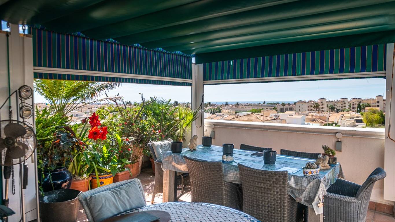 Verkauf - Wohnung - Alicante - La Florida