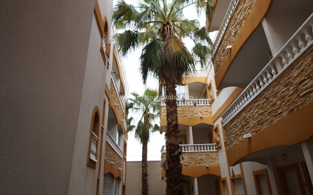 Verkauf - Wohnung - Formentera del Segura - Formentera de Segura