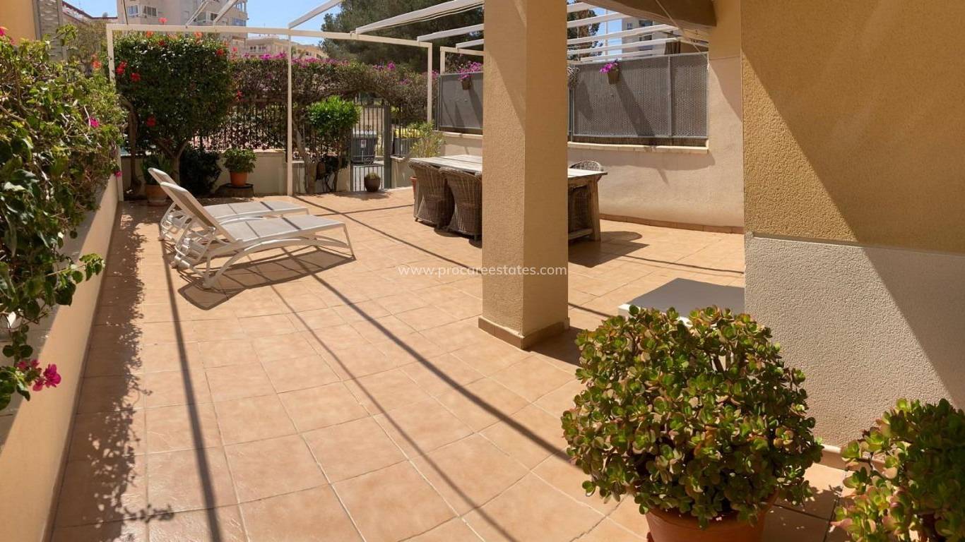 Verkauf - Wohnung - Guardamar del Segura - Guardamar Center