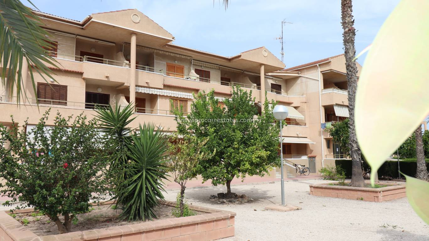 Verkauf - Wohnung - Guardamar del Segura - Pinomar