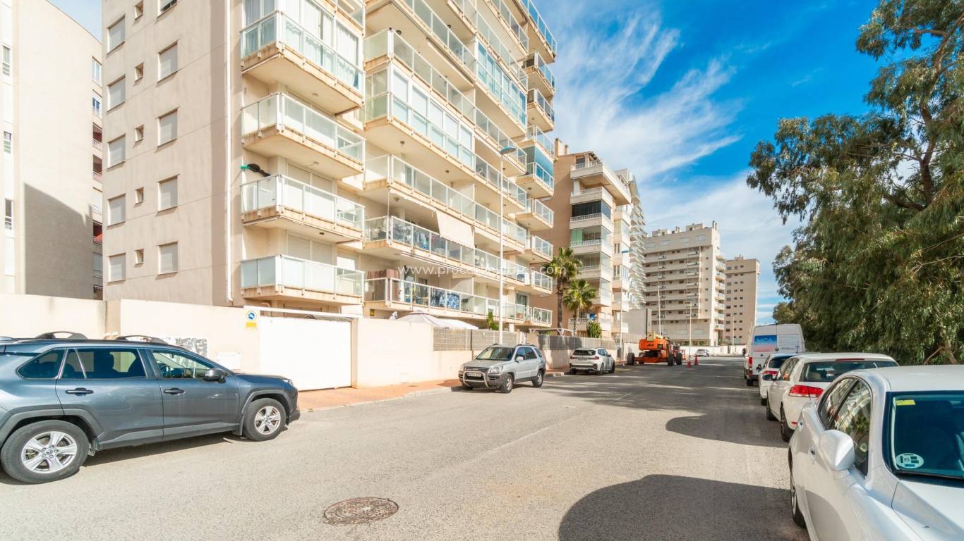 Verkauf - Wohnung - Guardamar del Segura - Puerto Deportivo